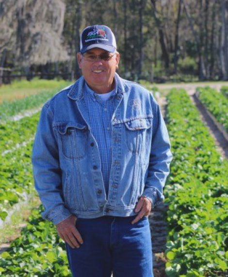 grower-Gillman Farms–Strawberry