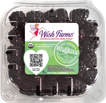 Image of Wish Farms Blackberry Organic Clamshell