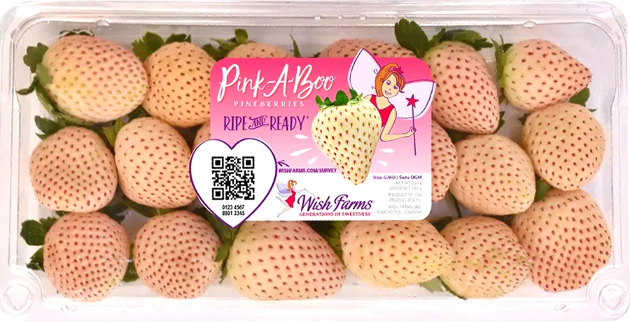 Image of Wish Farms Pineberry Clamshell