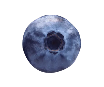 Blueberry fruit image link