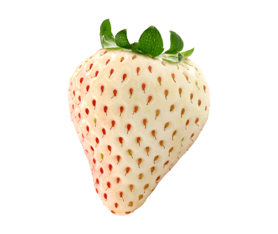 Pineberry fruit image link