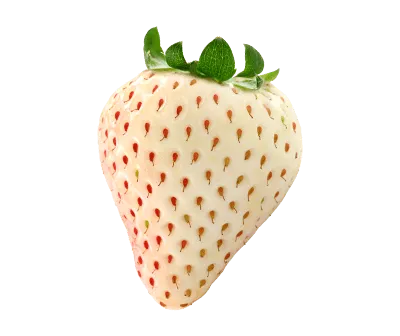 Blackberry fruit image link