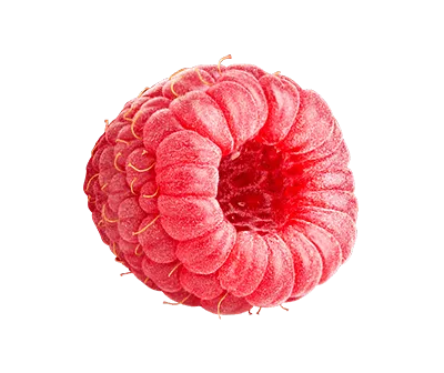 Raspberry fruit image link