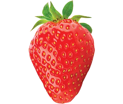 Strawberry fruit image link