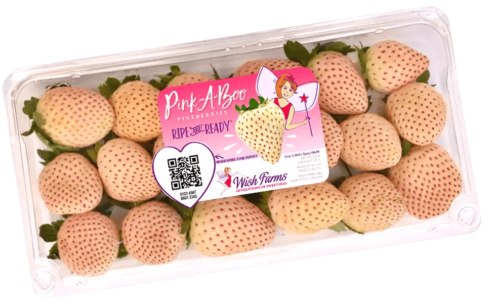 Pineberry clamshell
