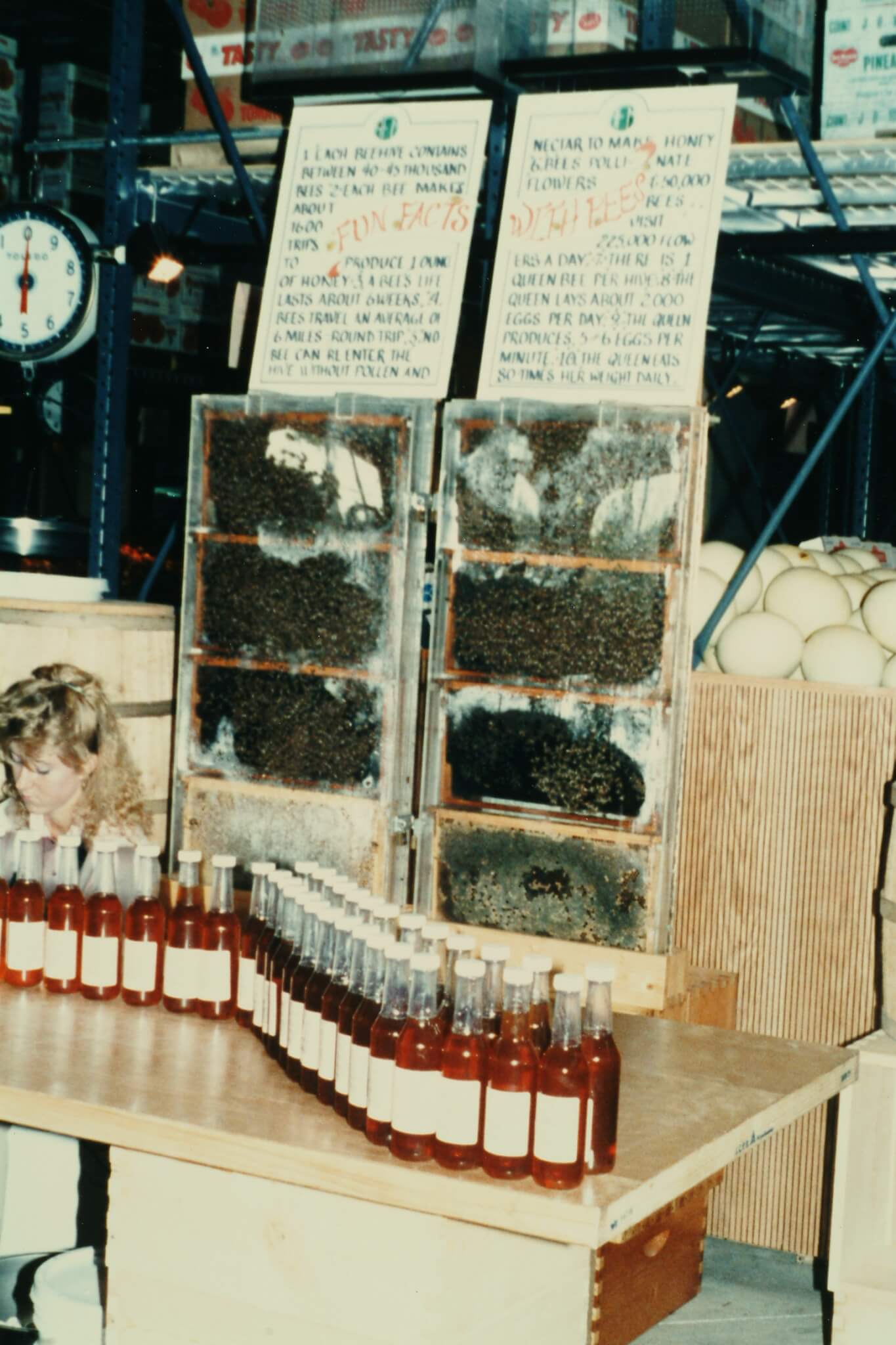 Alessi Farmers Market - Tampa, FL - Fresh Honey Station