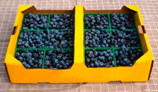 A new twist on Strawberries & Cream: Kahlua Cream Berry Bobs @wishfarms A new twist on Strawberries & Cream: Kahlua Cream Berry Bobs @wishfarms