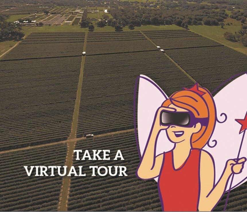 Take Virtual Tour of Wish Farms Plant City