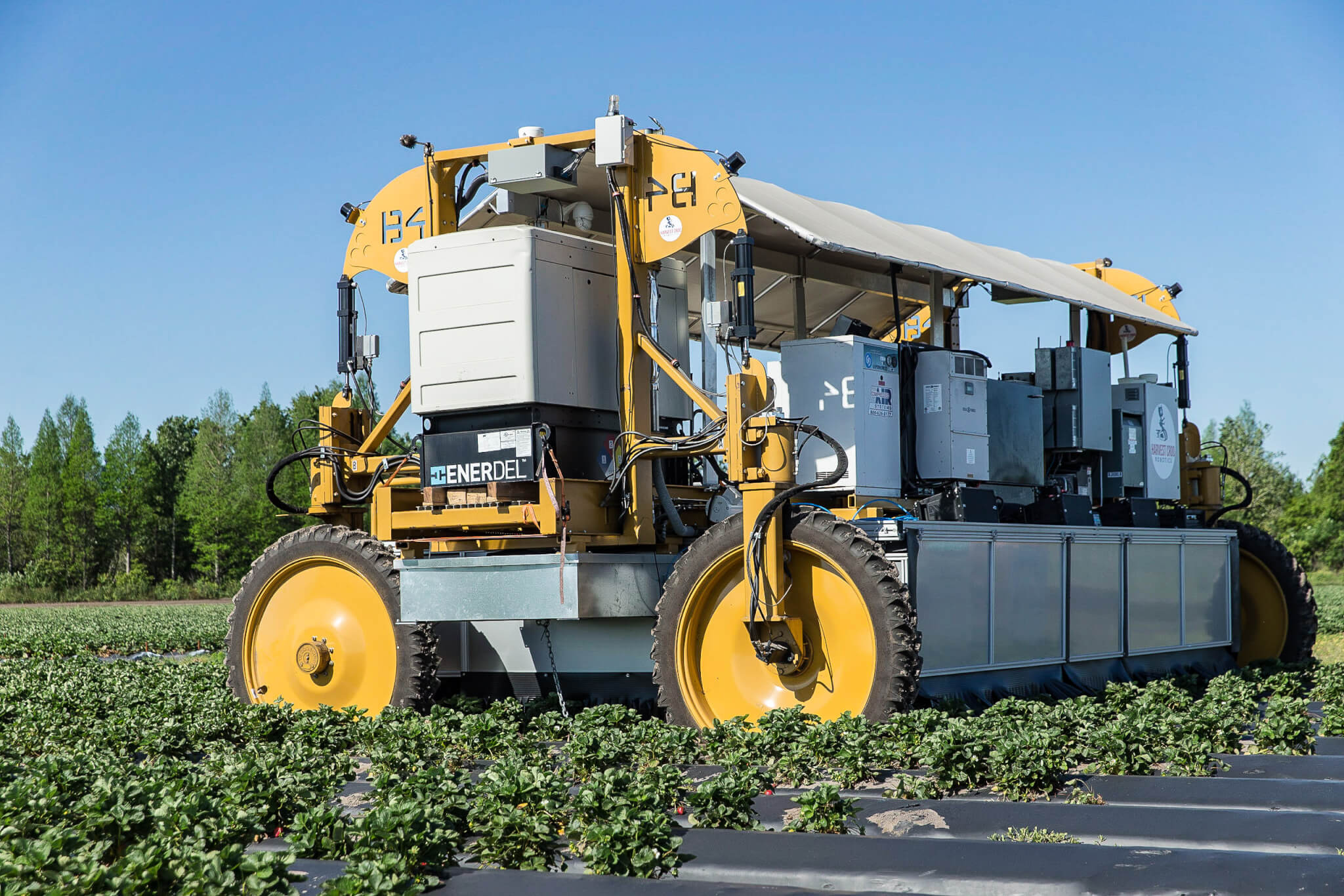 Machinery Strawberry Growers Wish Farms Florida