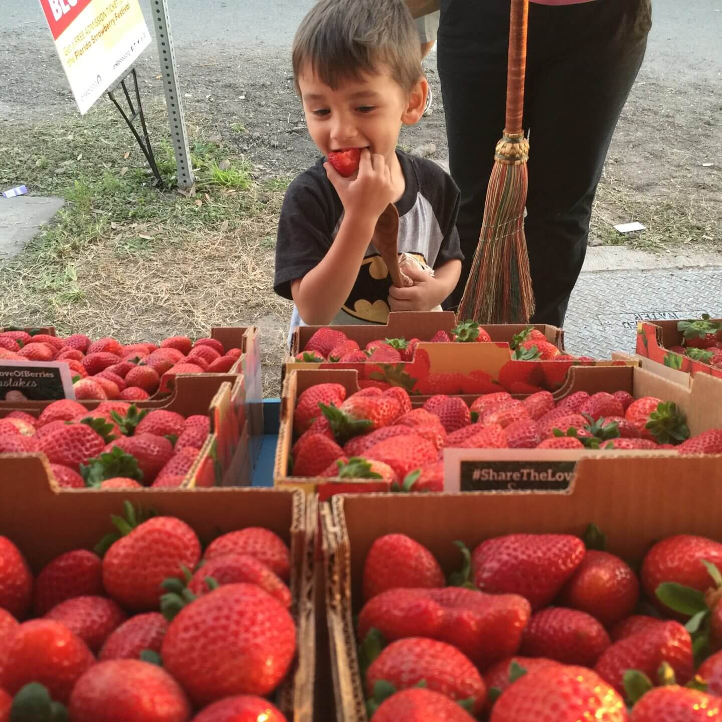 2016 Strawberry Festival Recap Wish Farms FL Berry Grower
