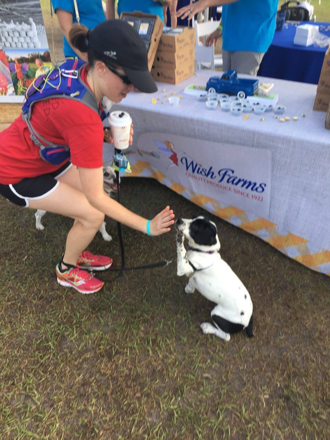 Puppy high five Walk for Wishes Tampa Bay Wish Farms