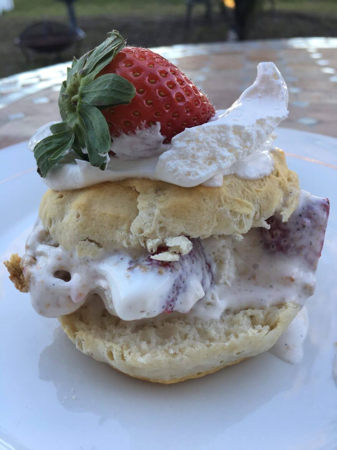 Strawberry Shortcake Sandwich Recipe | Wish Farms Florida Strawberry Grower