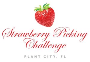 Strawberry Picing Challenge