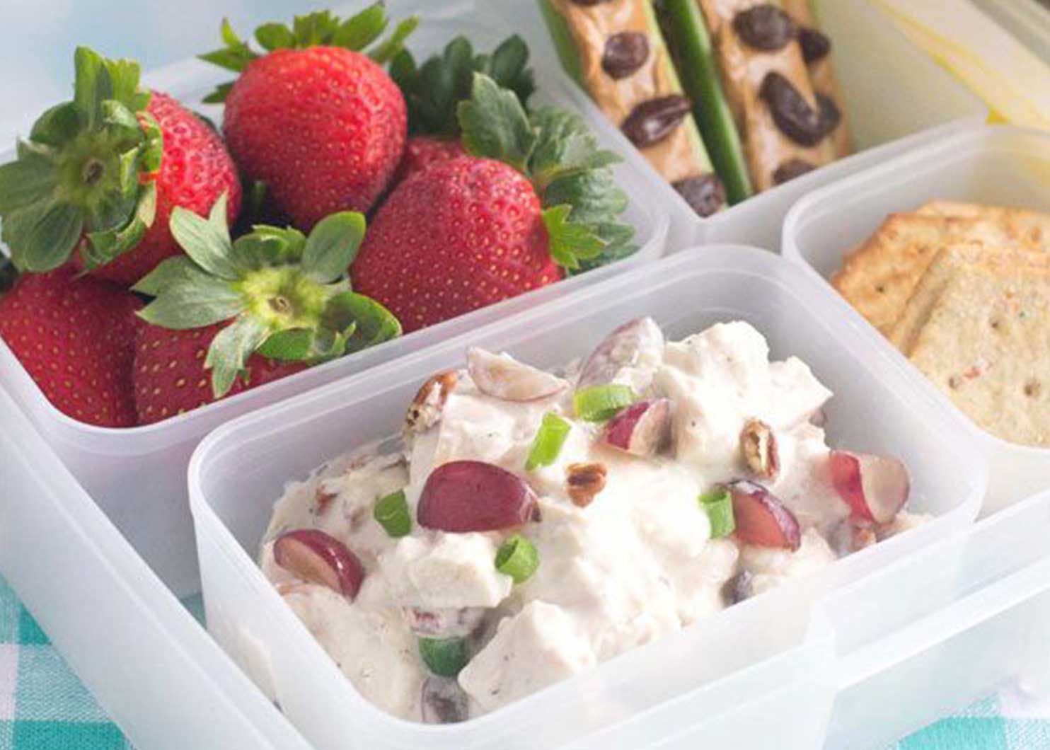 Picnic Bento Box School Lunch Idea