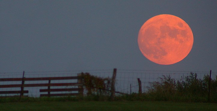Strawberry Moon Over Farm Wish Farms Florida