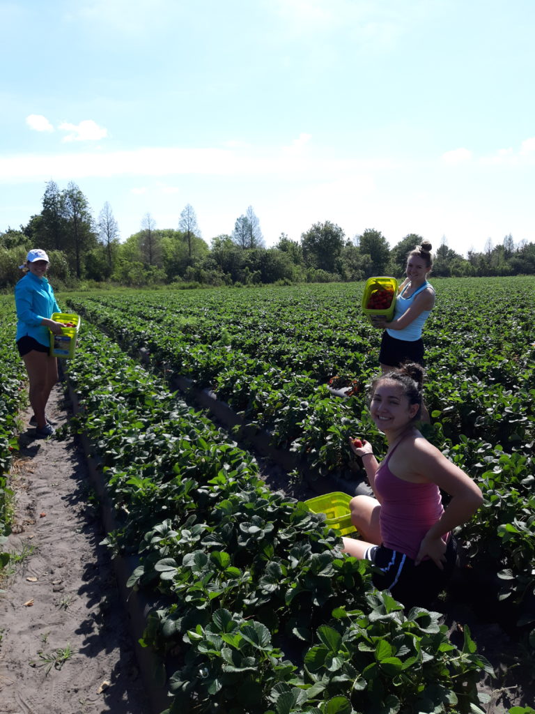 Wish Farms Hosts Private Gleaning Event in the Midst of Covid-19
