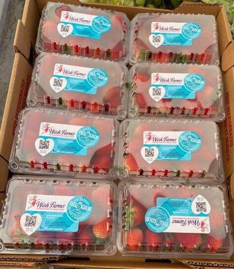 Wish Farms Donates Berries to the St. Petersburg Free Clinic