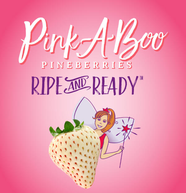 PinkABoo Berries Wish Farms PinkABoo Pineberry