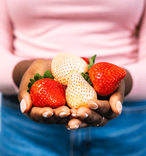 Red and White Strawberries from Wish Farms