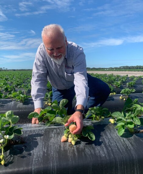 Wish Farms Pineberry Grower