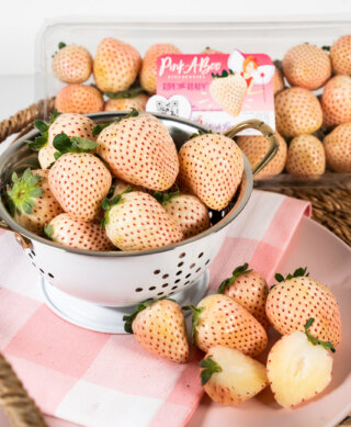 Wish Farms Pink-A-Boo® Pineberries on ABC Cincinnati's Cincy Lifestyle Show