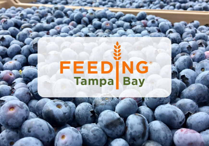 Wish Farms donates to Feeding Tampa Bay - ABC Action News Reports