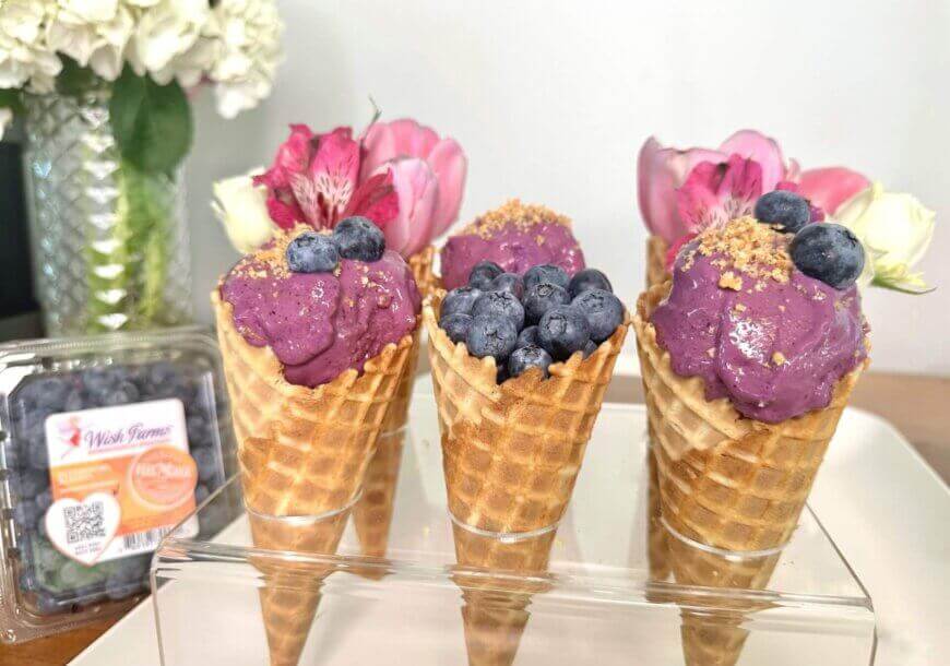 Ninja Blender Berry Cheesecake Ice Cream from Wish Farms