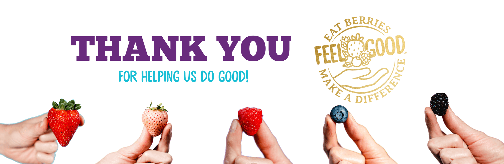 Pick a Berry BANNER B (3) giveback giveaway thank you banner