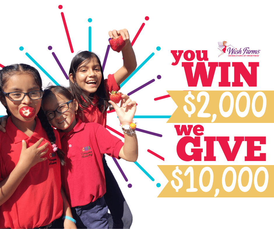 give back giveaway feature photo