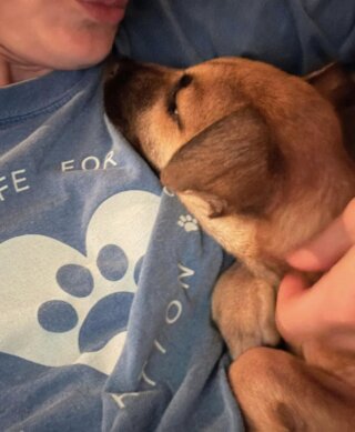 Wish Farms Foundation donates $1,000 to A New Life for Paws