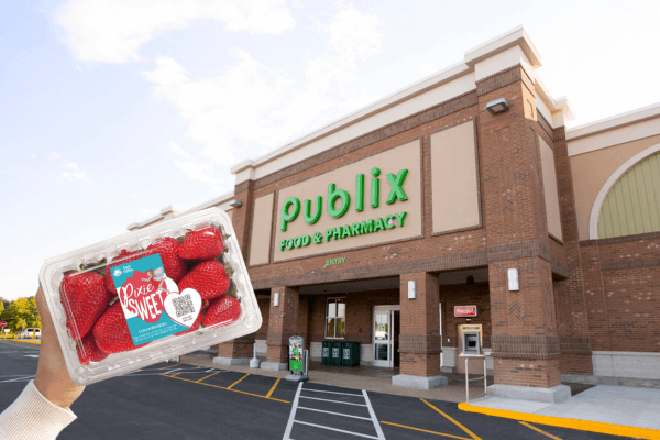 PUBLIX banner - MOBILE 600 × 400 px)