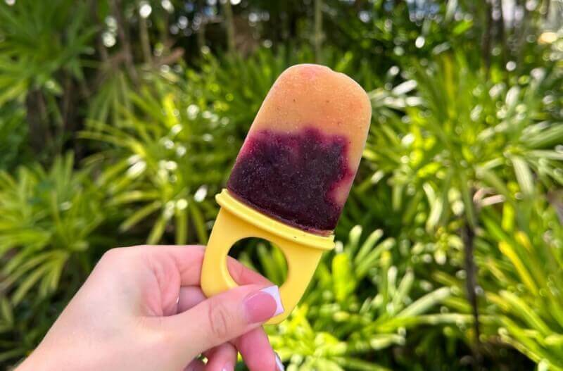 Blueberry Peach Popsicles