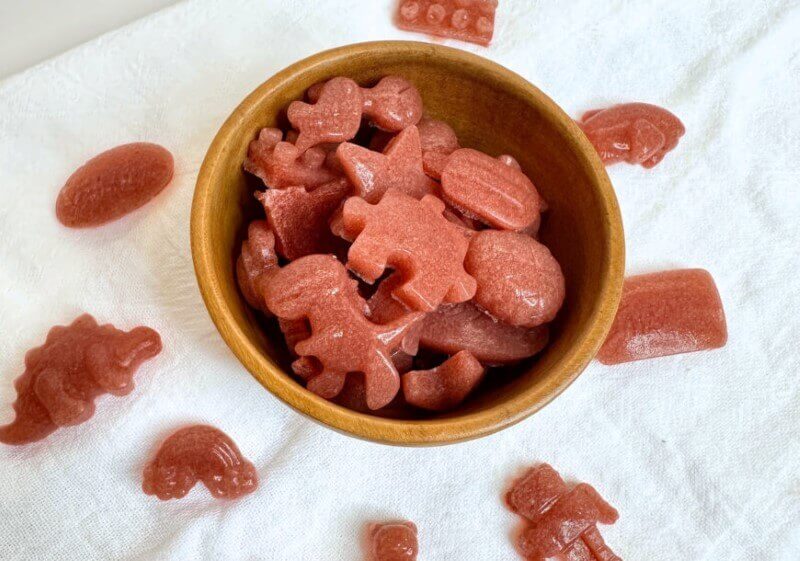Healthy Strawberry Fruit Snacks